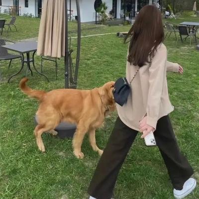 格莱普尼尔